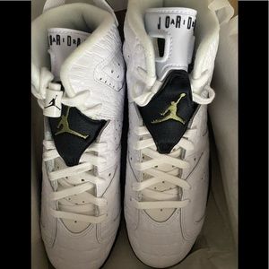 Jordan Retro 6 Alligator GS size 7